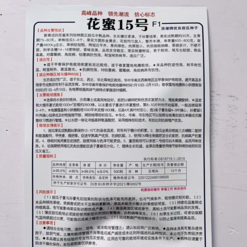 花蜜15号甜瓜品种早熟花皮甜瓜种子大田种植