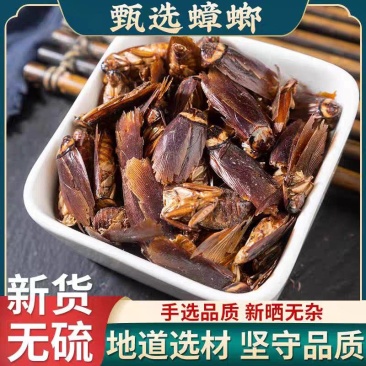 蟑螂中药材蟑螂虫干货精选品质保质保量诚信经营批发