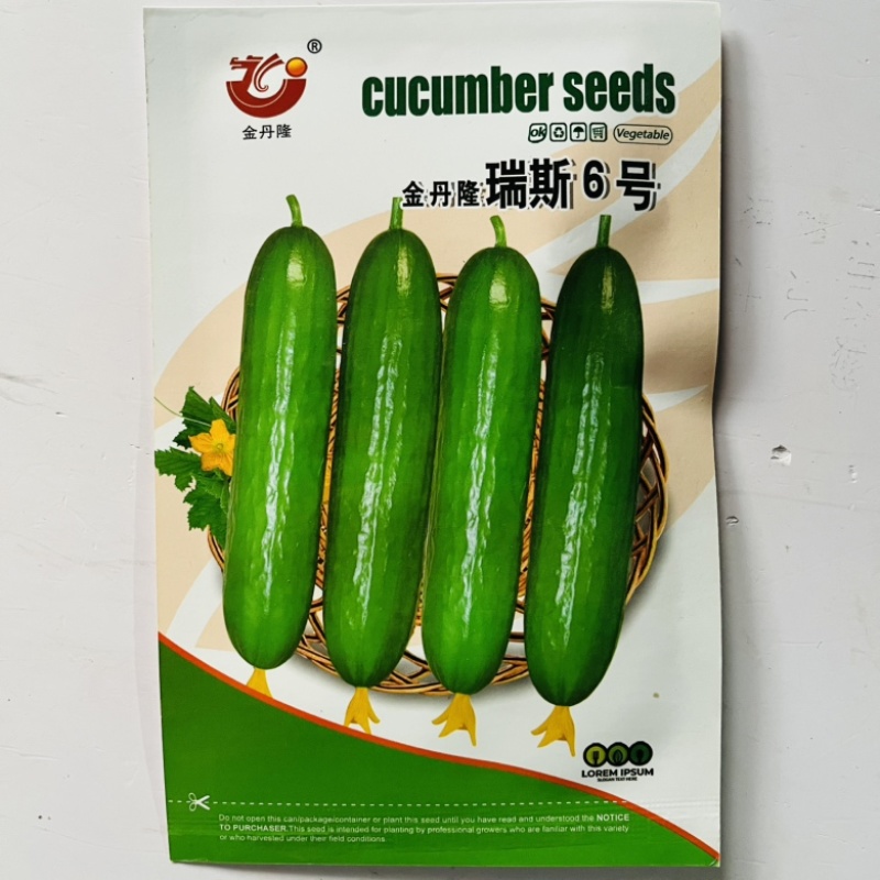 金翠631白黄瓜种子全雌水果黄瓜品种种子