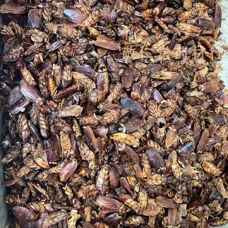 蟑螂中药材蟑螂虫干货精选品质保质保量诚信经营批发