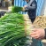 雪韭上市欢迎全国各地客商来电洽谈，我们会以质量**为标准