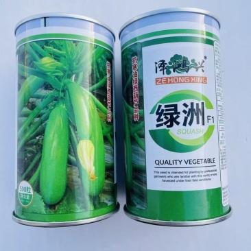 绿洲西葫芦种子耐寒品种油绿色种子品种