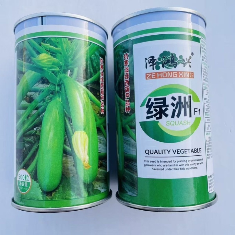 绿洲西葫芦种子耐寒品种油绿色种子品种