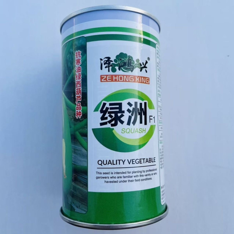 绿洲西葫芦种子耐寒品种油绿色种子品种