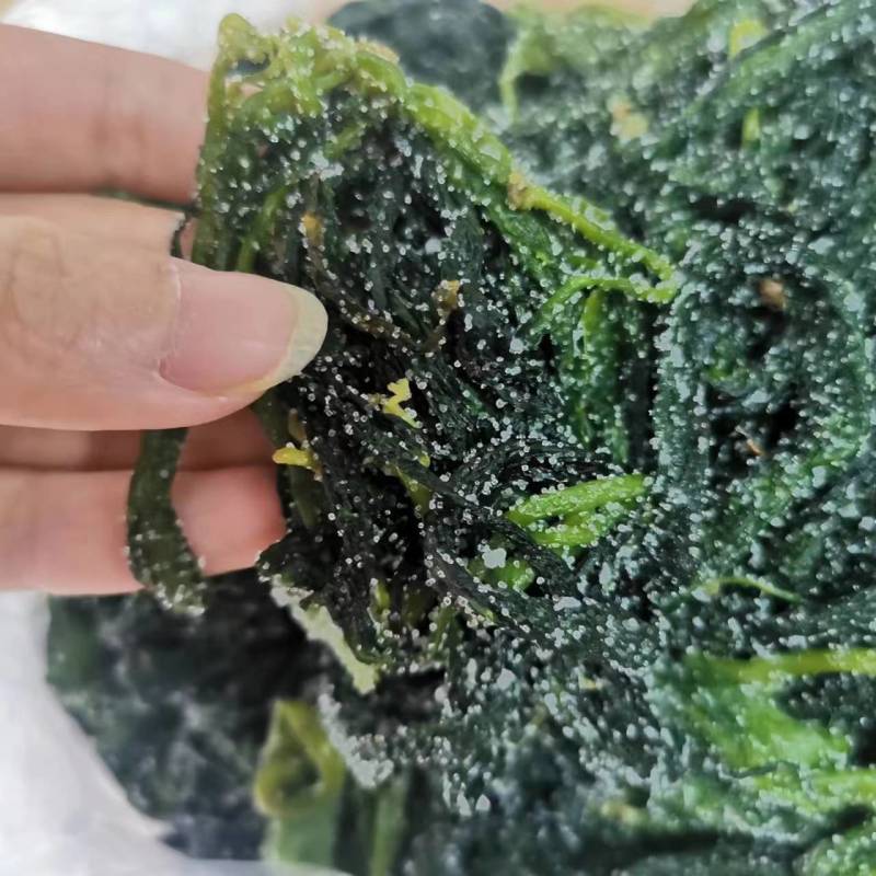 海带苗霞浦海带嫩苗火锅料凉拌海带苗非常嫩