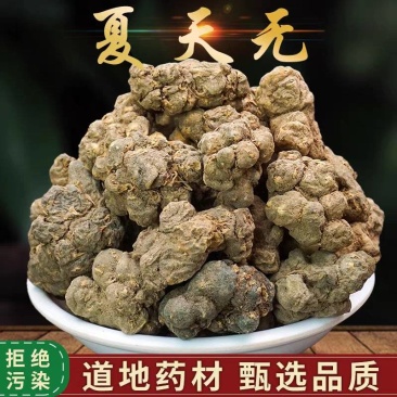 夏天无中药材无硫新货冷背药材保质保量诚信经营大货