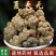 夏天无中药材无硫新货冷背药材保质保量诚信经营大货