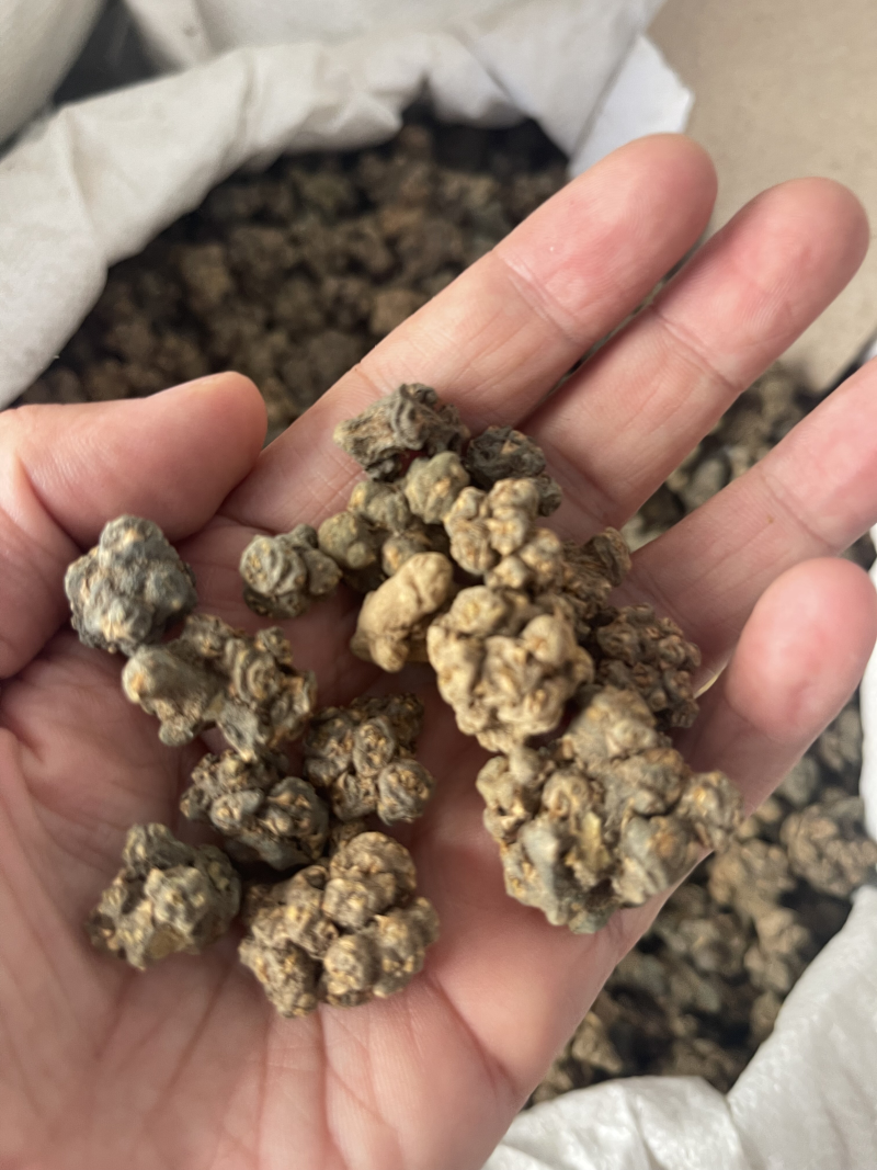 夏天无中药材无硫新货冷背药材保质保量诚信经营大货