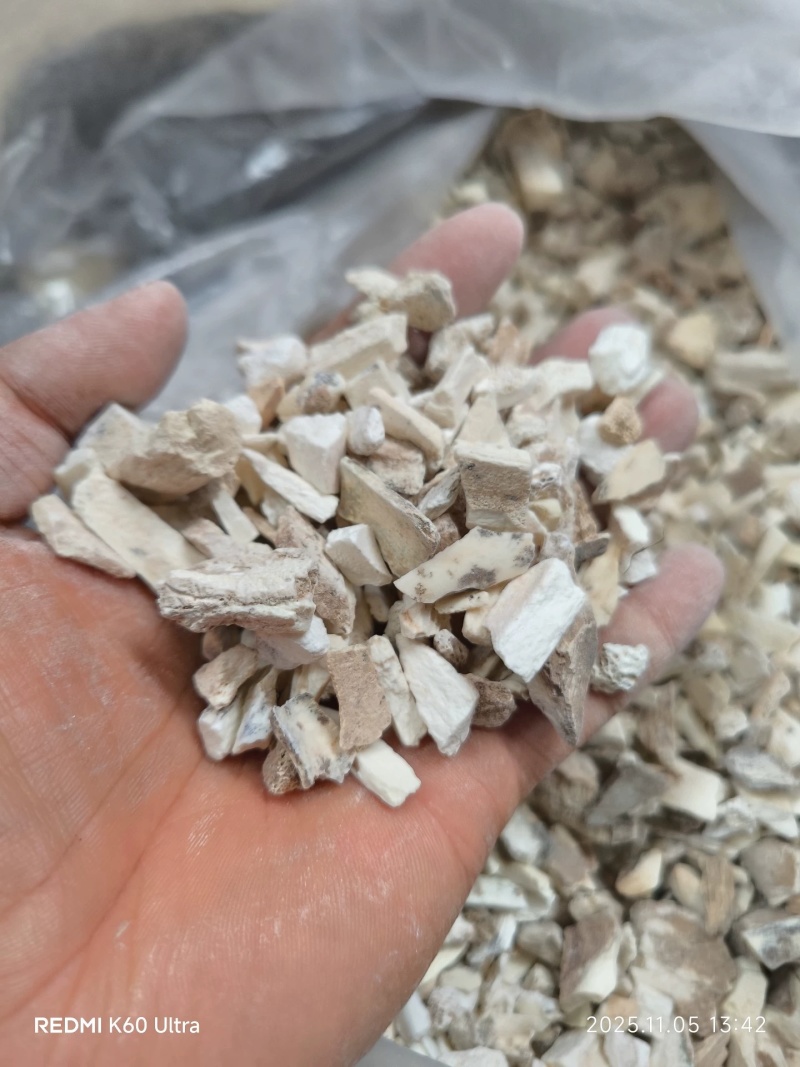 龙骨中药材矿石龙骨诚信经营合作共赢大货供应