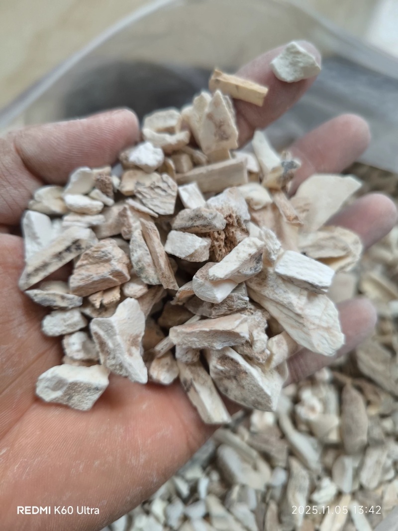 龙骨中药材矿石龙骨诚信经营合作共赢大货供应