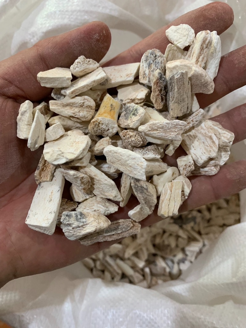 龙骨中药材矿石龙骨诚信经营合作共赢大货供应
