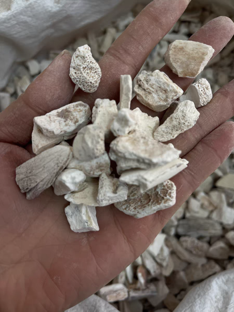 龙骨中药材矿石龙骨诚信经营合作共赢大货供应