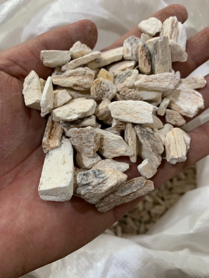 龙骨中药材矿石龙骨诚信经营合作共赢大货供应
