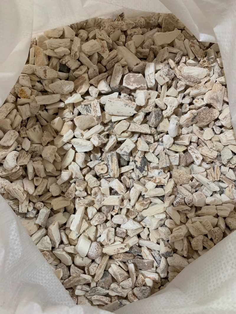 龙骨中药材矿石龙骨诚信经营合作共赢大货供应