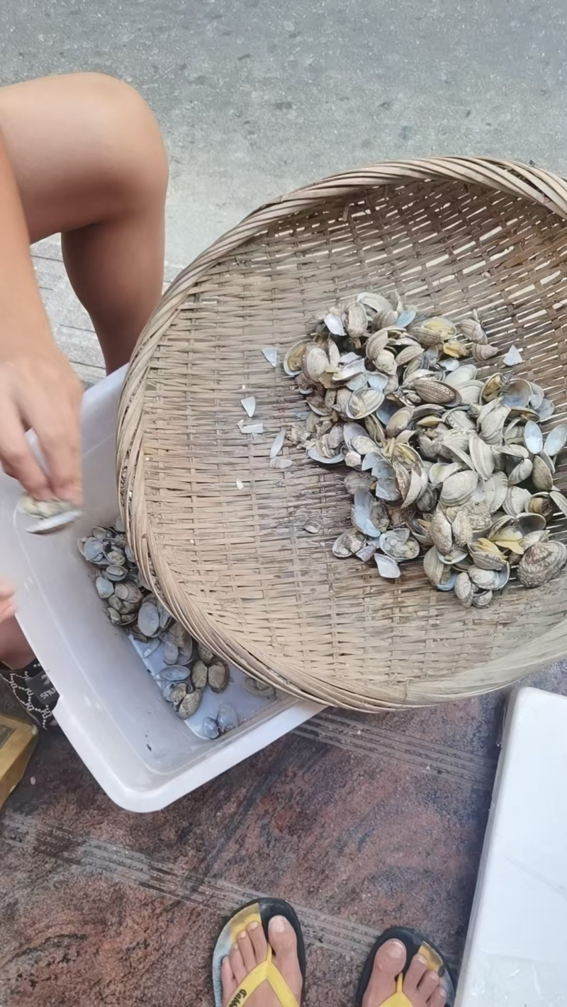 新鲜破壳大花蛤一斤20-22个含沙量高不适合直接食用