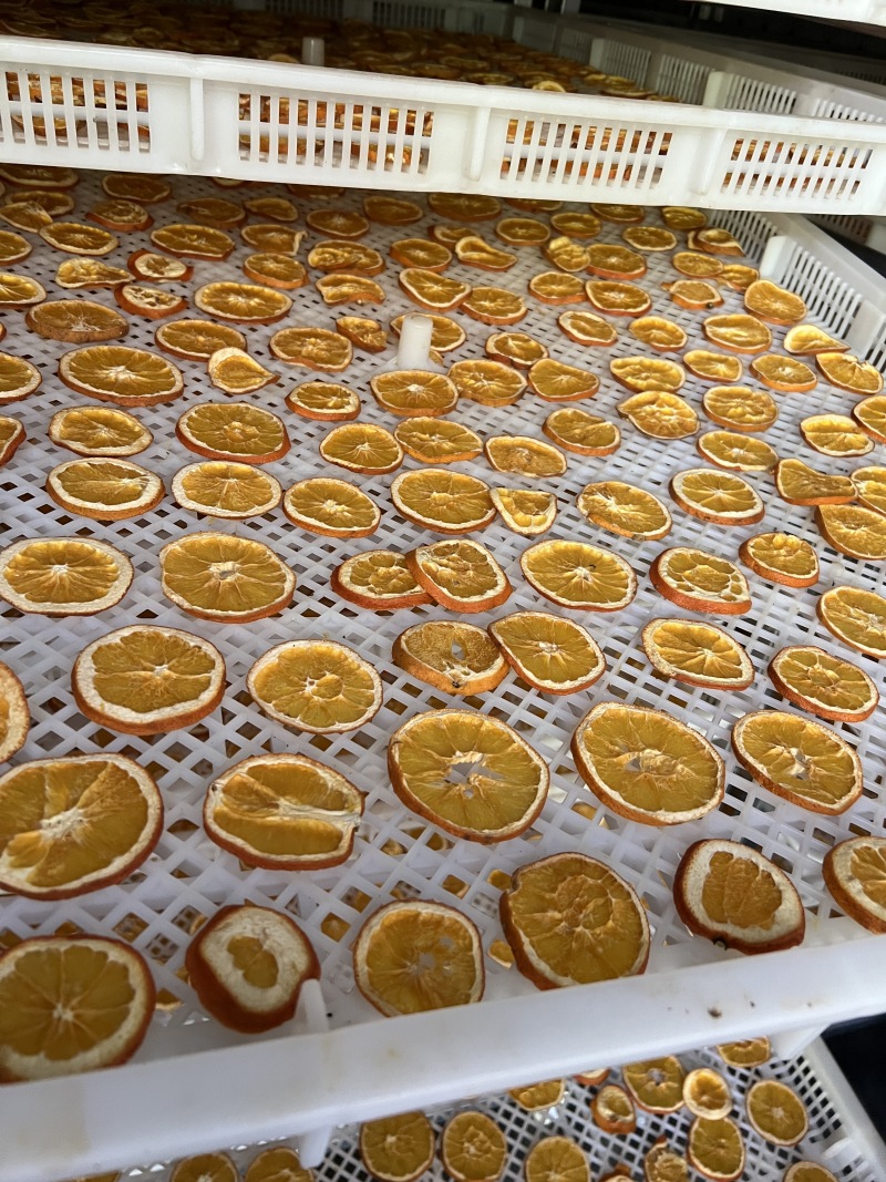 自产自销黄橙片橙子干片橙子片烘干工艺量大从优