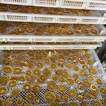 自产自销黄橙片橙子干片橙子片烘干工艺量大从优