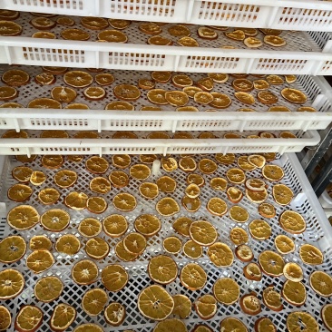 自产自销黄橙片橙子干片橙子片烘干工艺量大从优