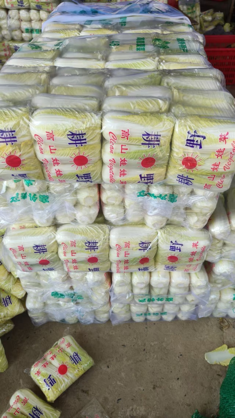 《精选》湖北大小娃娃菜品质保证量大从优对接商超电商团购