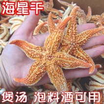 海星大海星干海星煲汤泡酒诚信经营大货供应合作共