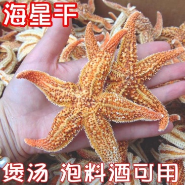 海星大海星干海星煲汤泡酒诚信经营大货供应合作共
