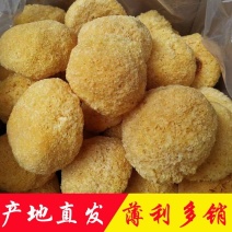 丑耳糯耳产地直销批发精选银耳干货土特产雪耳白木耳出胶