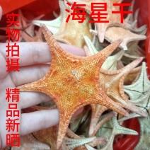 新货干海星北海星无硫滋补煲汤泡酒保质保量大货供应
