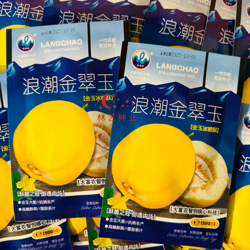 浪潮金翠玉甜瓜种子薄皮金玉冰糖酥香瓜种籽黄皮白瓤