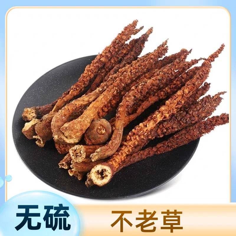 新货不老草草苁蓉中药材泡酒料保证质量诚信经营大货