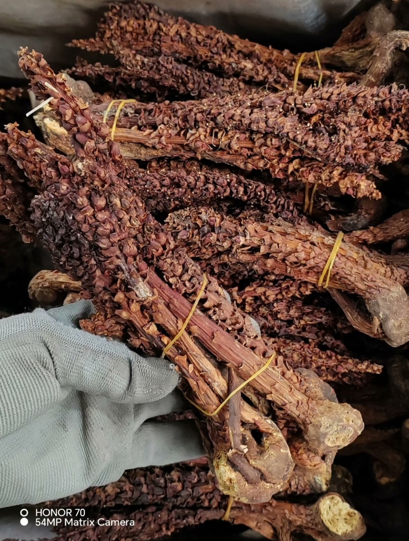 新货不老草草苁蓉中药材泡酒料保证质量诚信经营大货