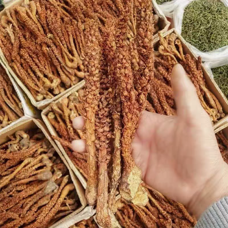 新货不老草草苁蓉中药材泡酒料保证质量诚信经营大货