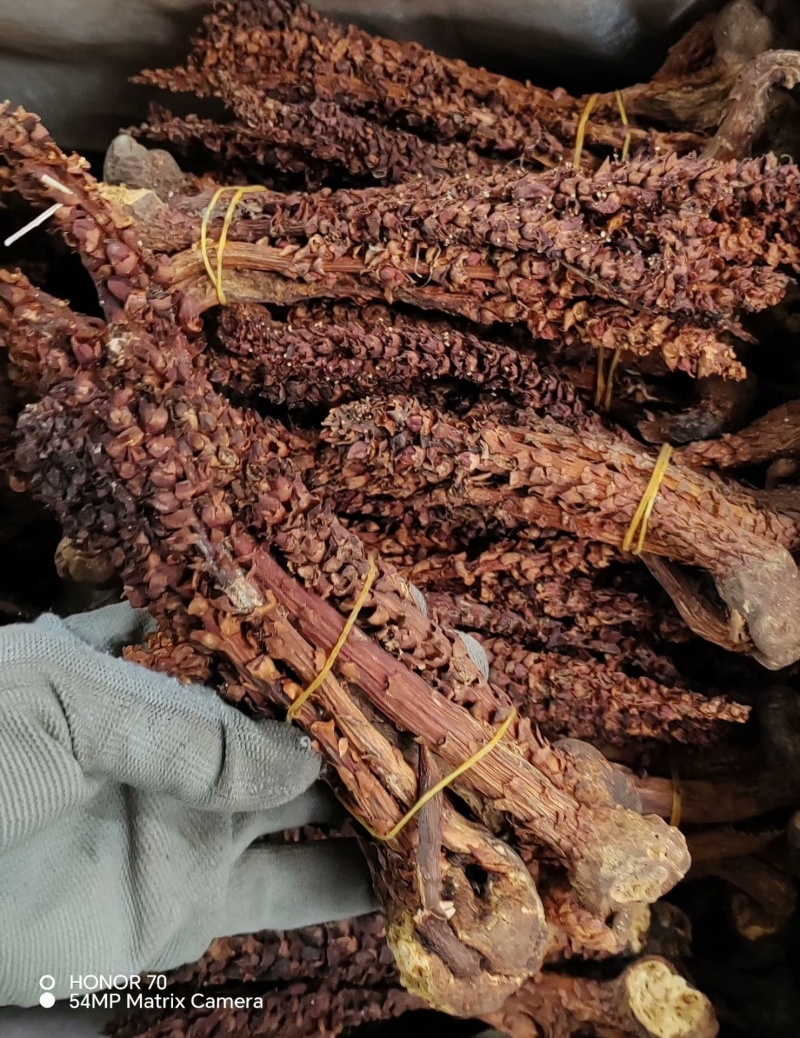 新货不老草草苁蓉中药材泡酒料保证质量诚信经营大货