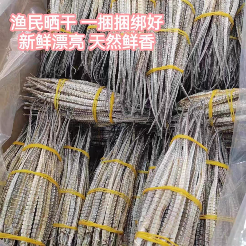海龙中药材大海龙泡酒料保证质量合作共赢大货供应