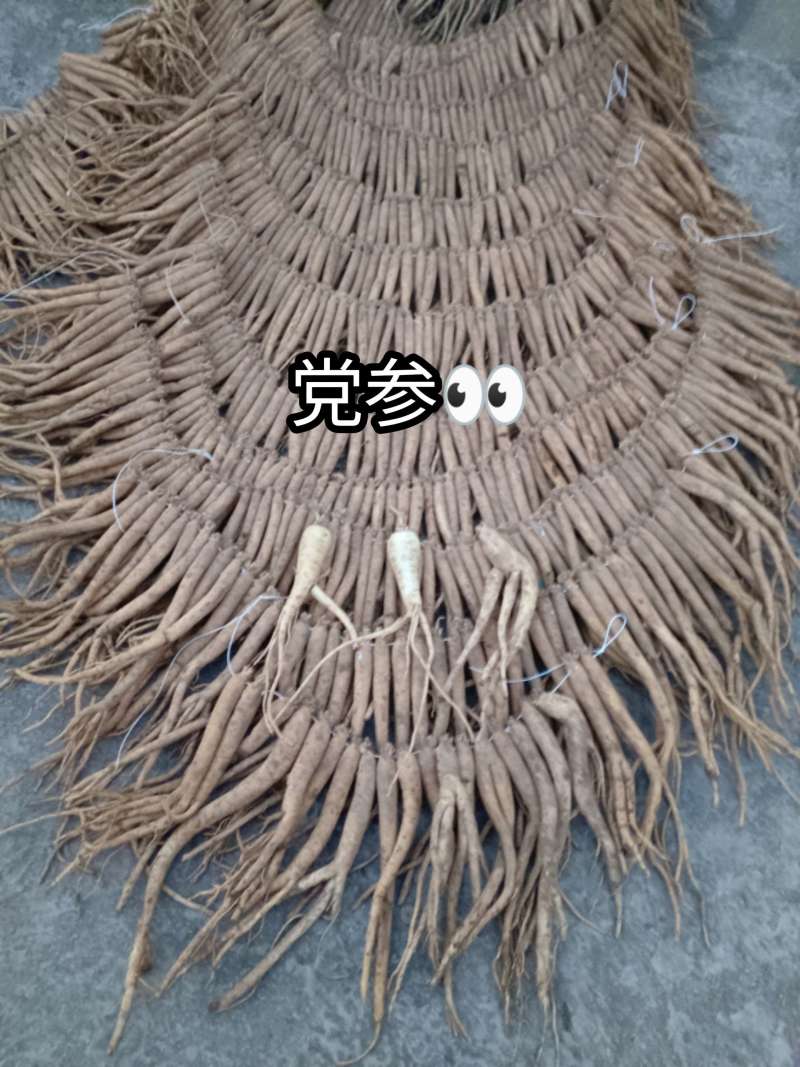 党参黄党白条代购出售