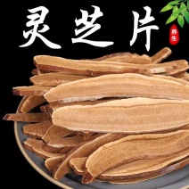 灵芝片中药材紫灵芝片精选长白山灵芝无硫新货大货供应