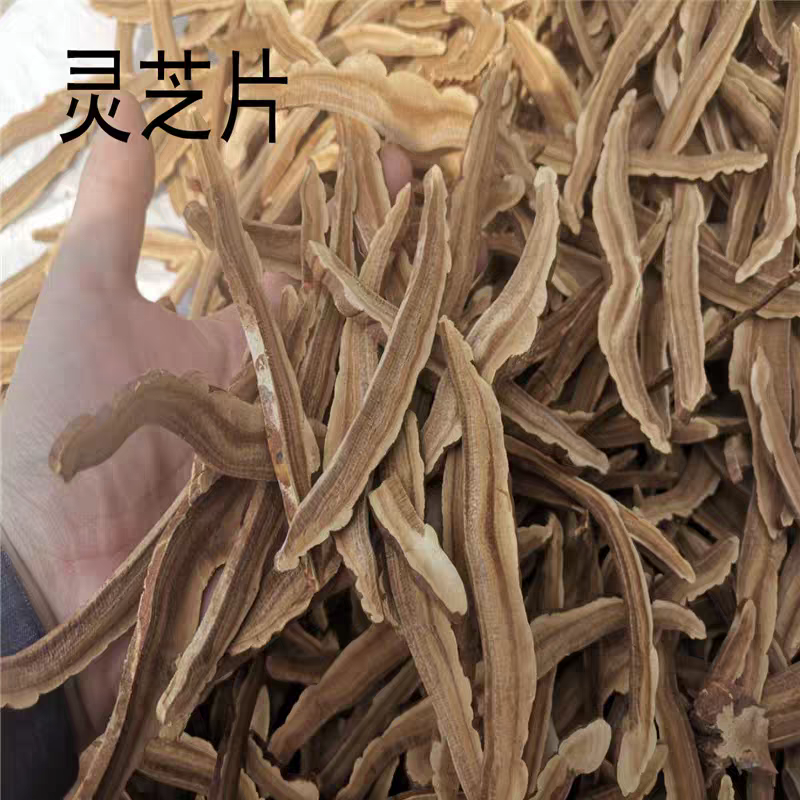 灵芝片中药材紫灵芝片精选长白山灵芝无硫新货大货供应