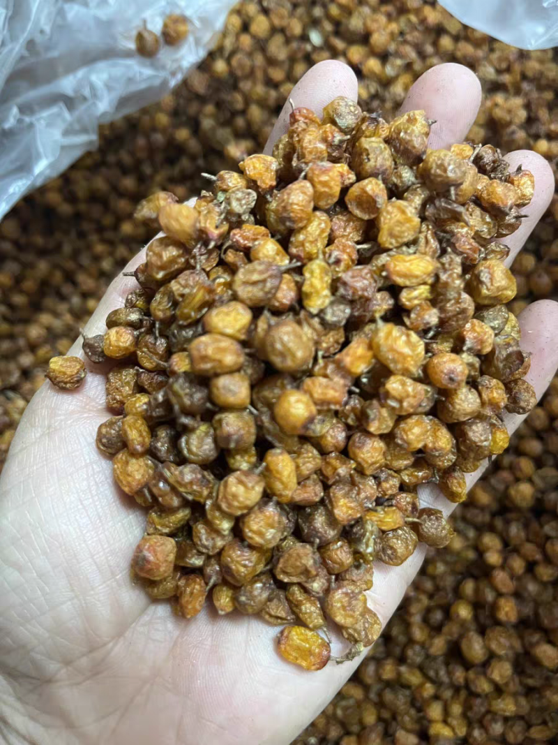 沙棘中药材沙棘果无硫***新货新疆沙棘大货供应批发