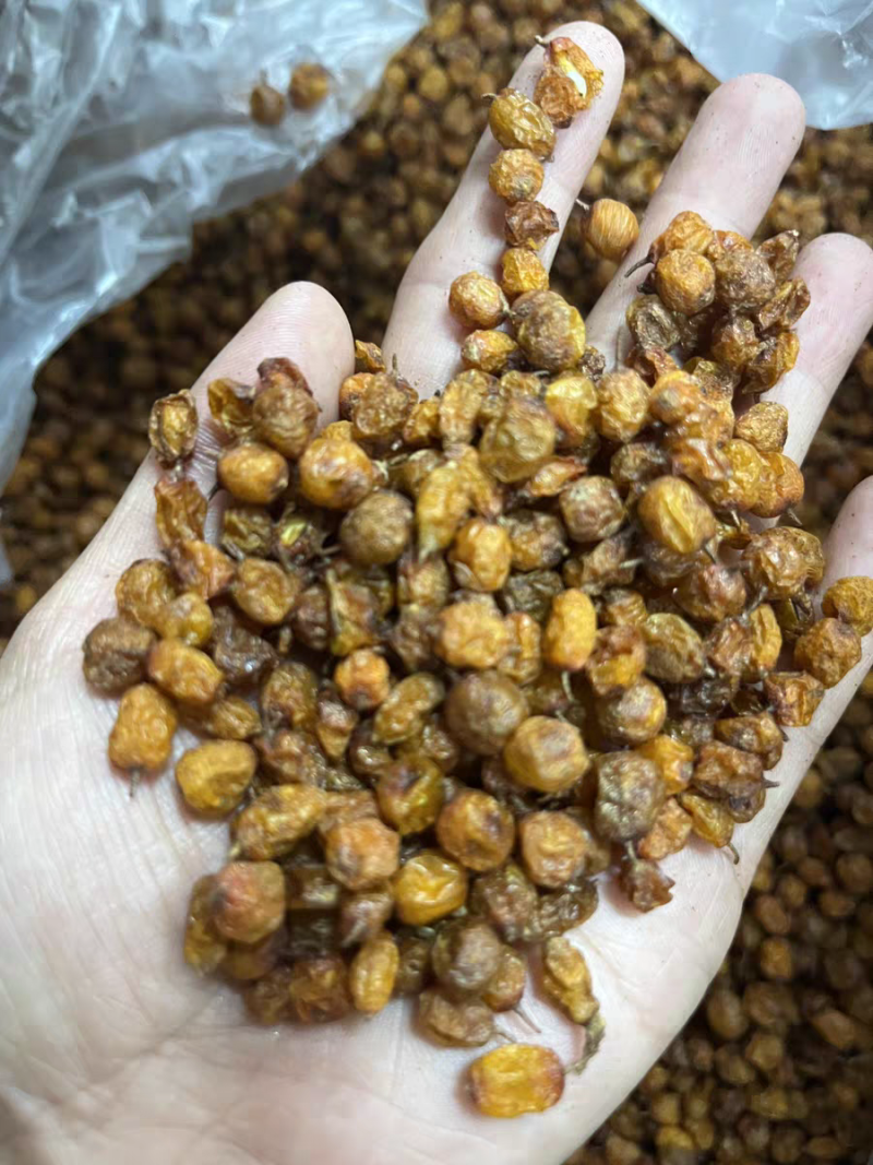 沙棘中药材沙棘果无硫***新货新疆沙棘大货供应批发