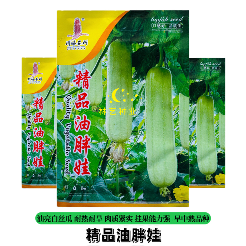 精品油胖娃白丝瓜种子杂交一代白皮油亮白丝瓜种籽耐热耐旱