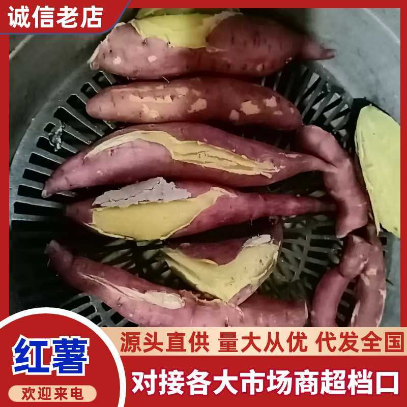 板栗红薯