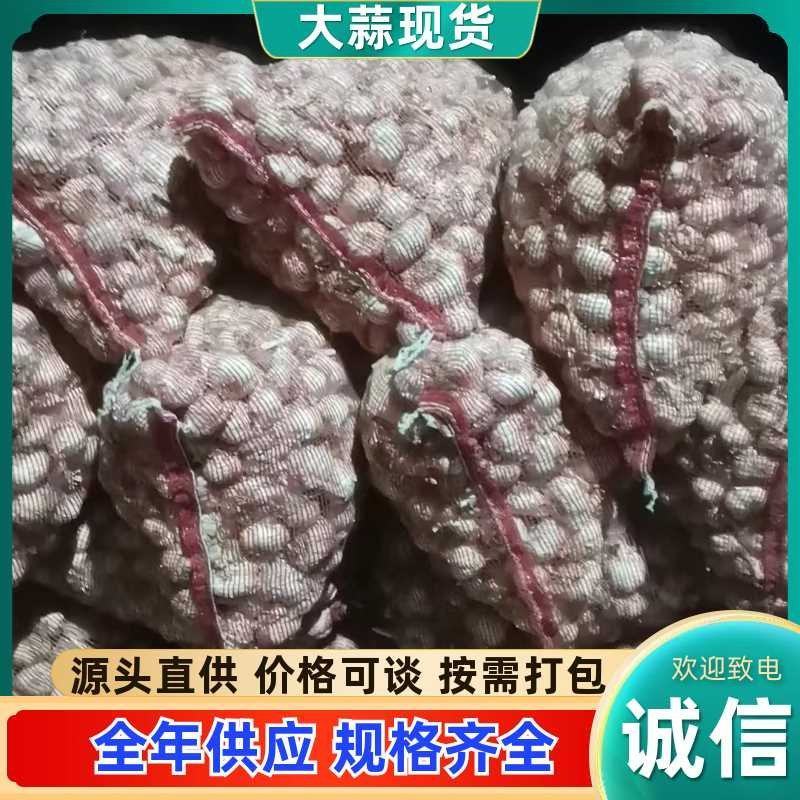 山西早熟晚熟大蒜，品质保证，价格优惠，产地直发，诚信经营