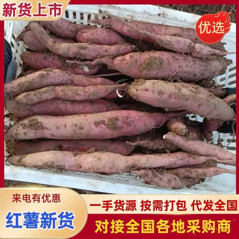 板栗红薯，