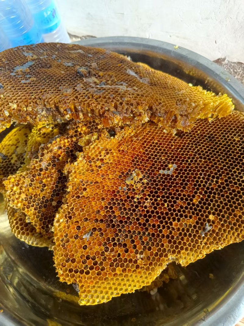 土蜂蜜