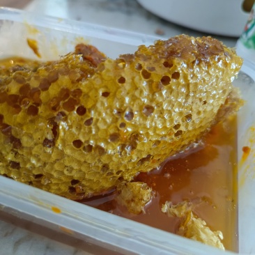 土蜂蜜