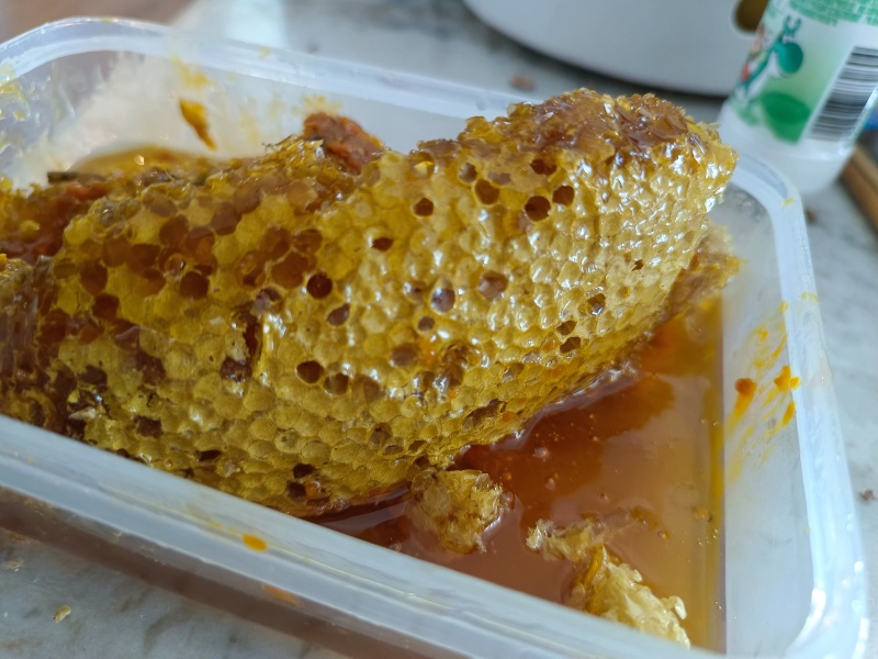 土蜂蜜