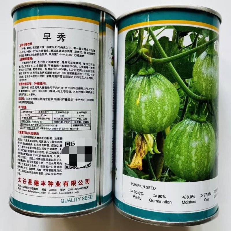 早秀南瓜种子嫩南瓜品种一串铃小南瓜品种种子