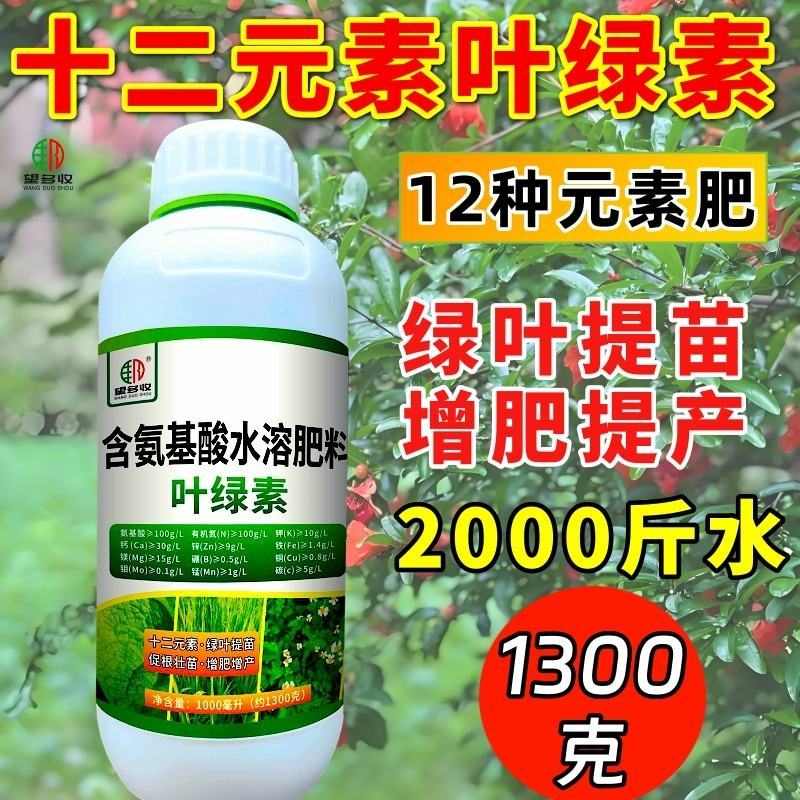 叶绿素一喷绿促根壮苗十二元素增肥增产绿叶提苗1300克