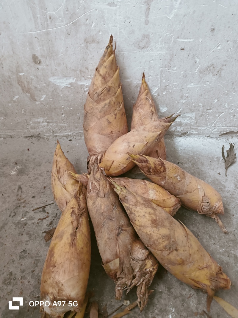 贵州黔东南原生态