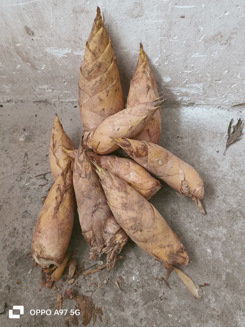 贵州黔东南原生态