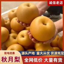 正宗莱阳秋月梨酸甜可口质量保证欢迎咨询